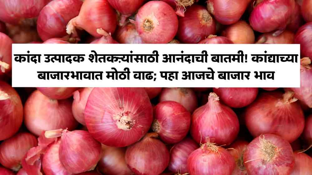Onion Market Price