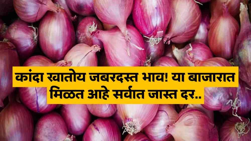 Kanda Bajar bhav Today