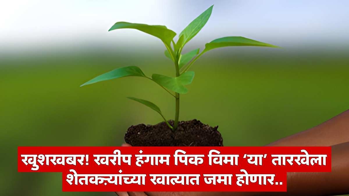 Crop Insurance Update