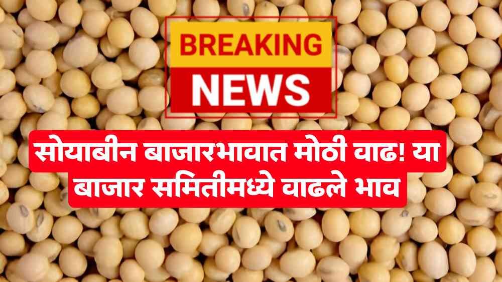 Soybean Market Price